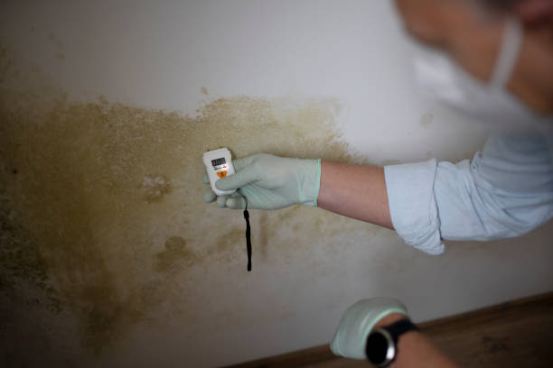 Best Crawl Space Mold Removal  in Clairton, PA